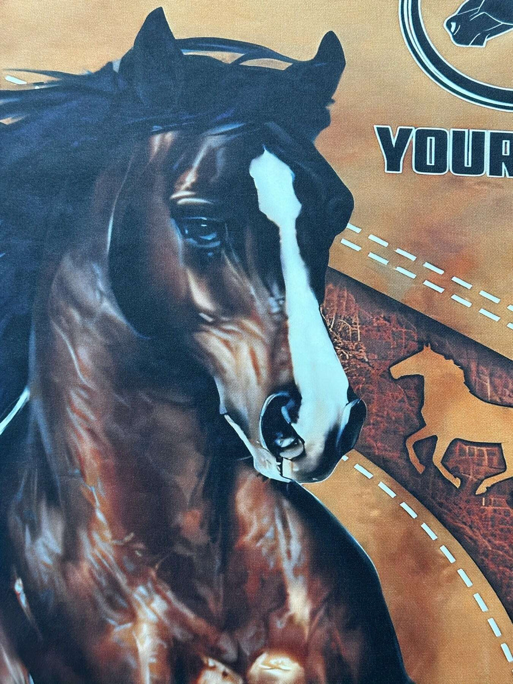 6445574b-01da-4f82-8a85-47801f877cec