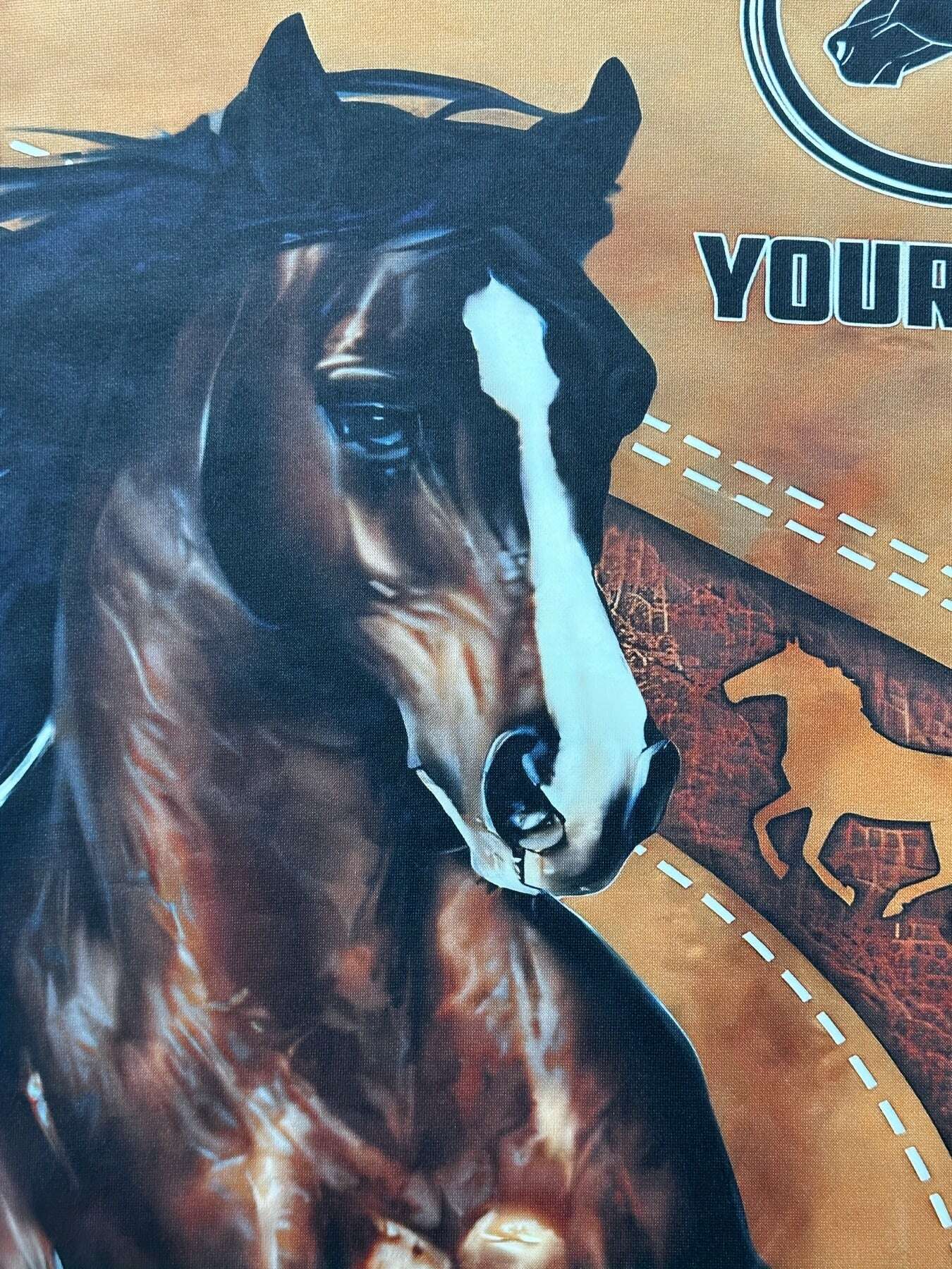 6445574b-01da-4f82-8a85-47801f877cec