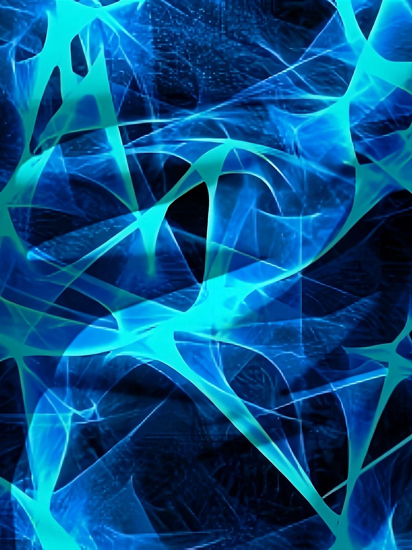 9b501be6-d6c1-4e05-99d5-5a3c7671e160