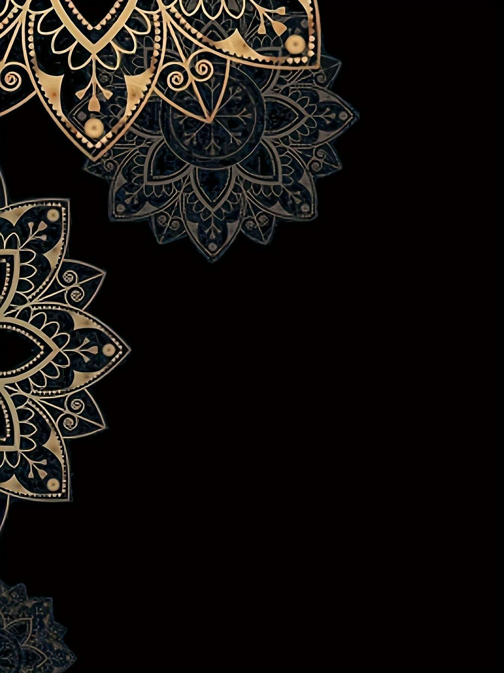 9cc028af-4e81-46e6-95e6-a53abd56cde3