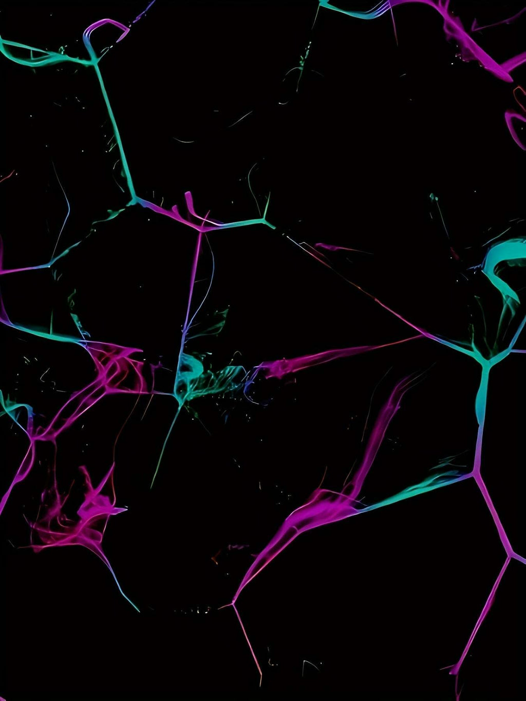 d3fb7da5-de6b-4afe-9efe-5651923cec52