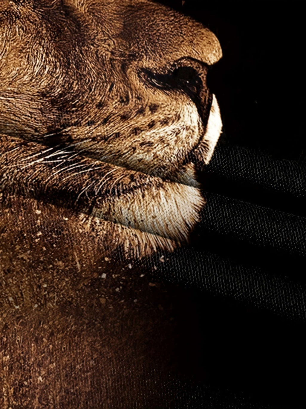 description_selected2