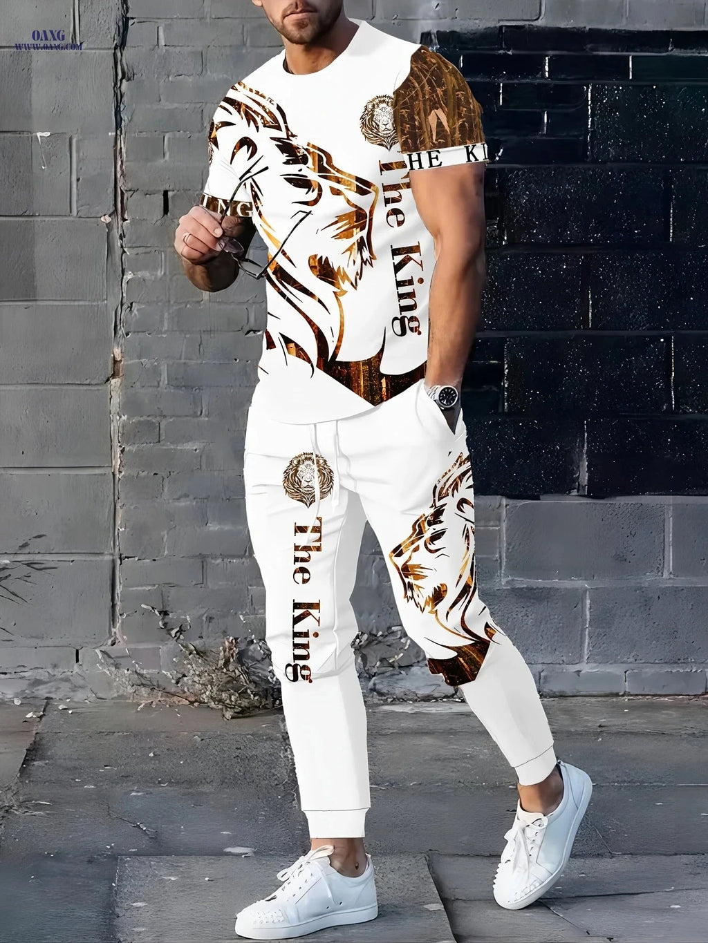 Fashion Lion Men's Casual Set - Short-Sleeve T-Shirt & Pants   OAXG 