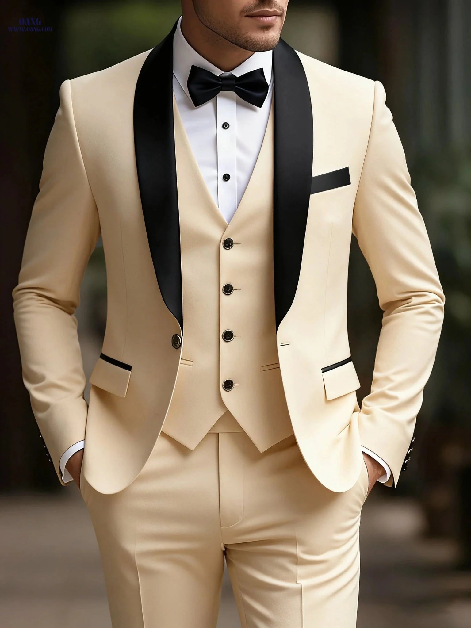 Men's 3pcs Suit Set - Jacket, Vest, Trousers for Weddings & Parties   OAXG 