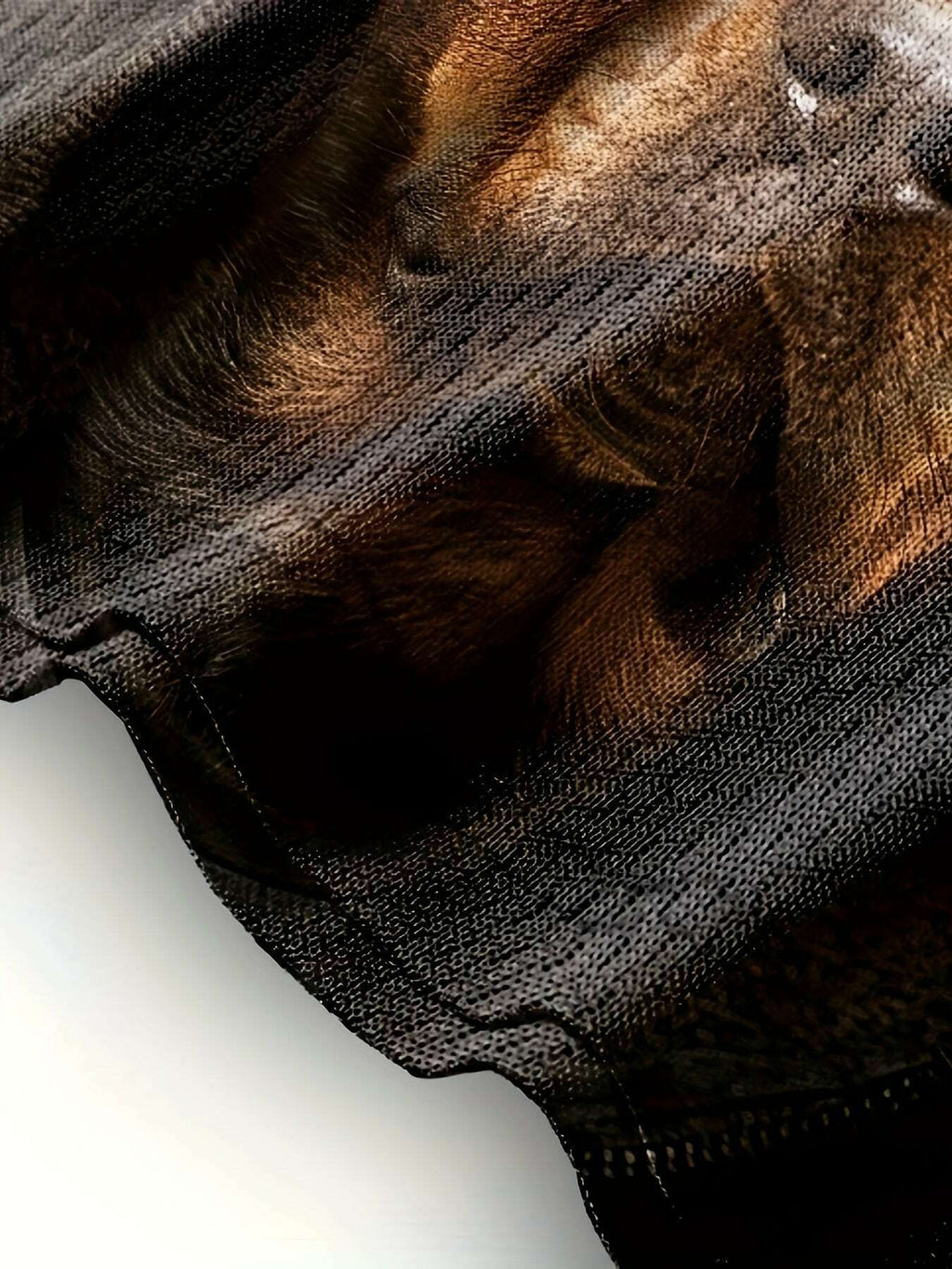 men-s-casual-rottweiler-print-t-shirt-soft-polyester-crew-neck-oaxg-M5V