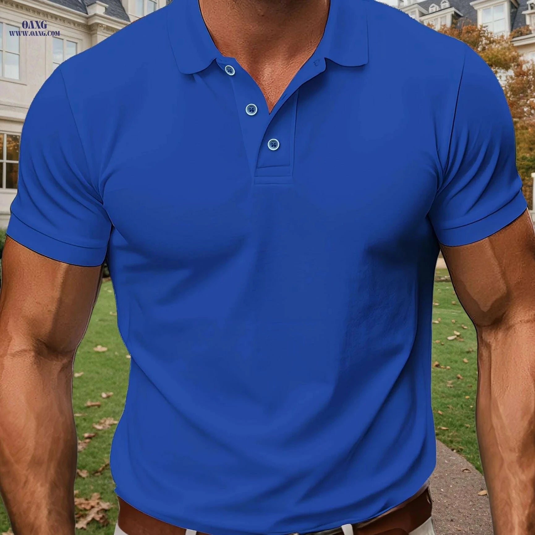 Men's Lightweight Casual Polo Shirt - Breathable Golf Top, Regular Fit   OAXG 