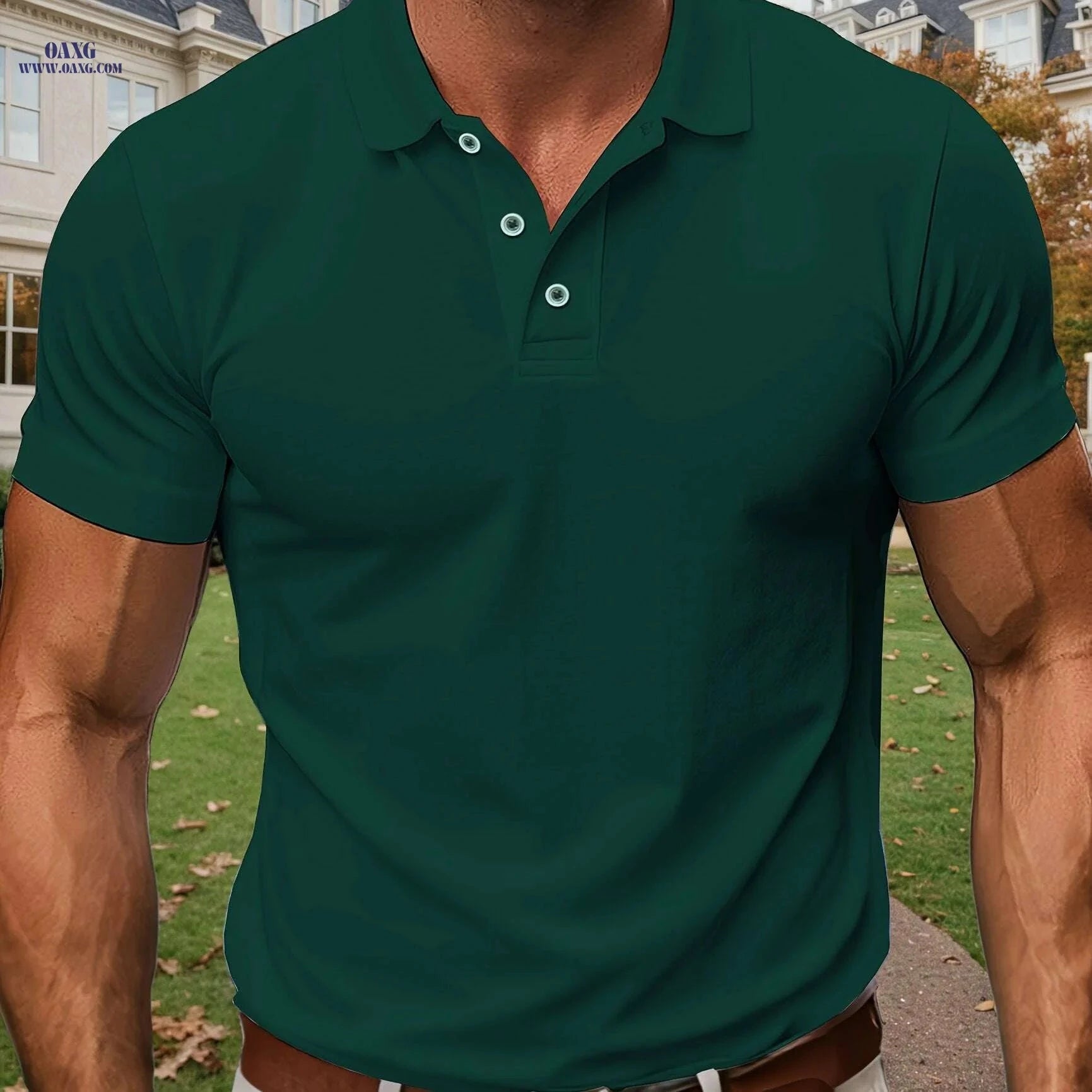 Men's Lightweight Casual Polo Shirt - Breathable Golf Top, Regular Fit   OAXG Pea Green Color / S