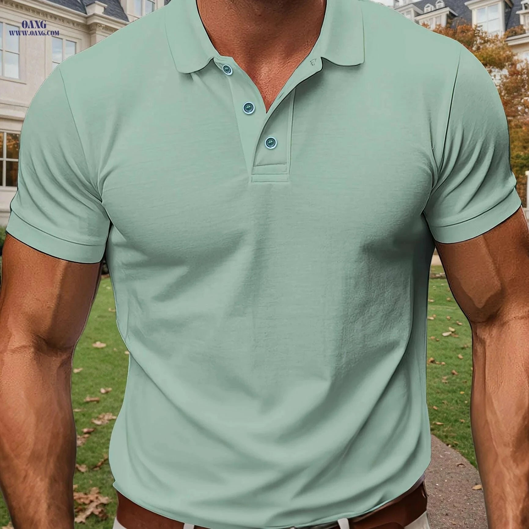 Men's Lightweight Casual Polo Shirt - Breathable Golf Top, Regular Fit   OAXG Pea Green Color / S