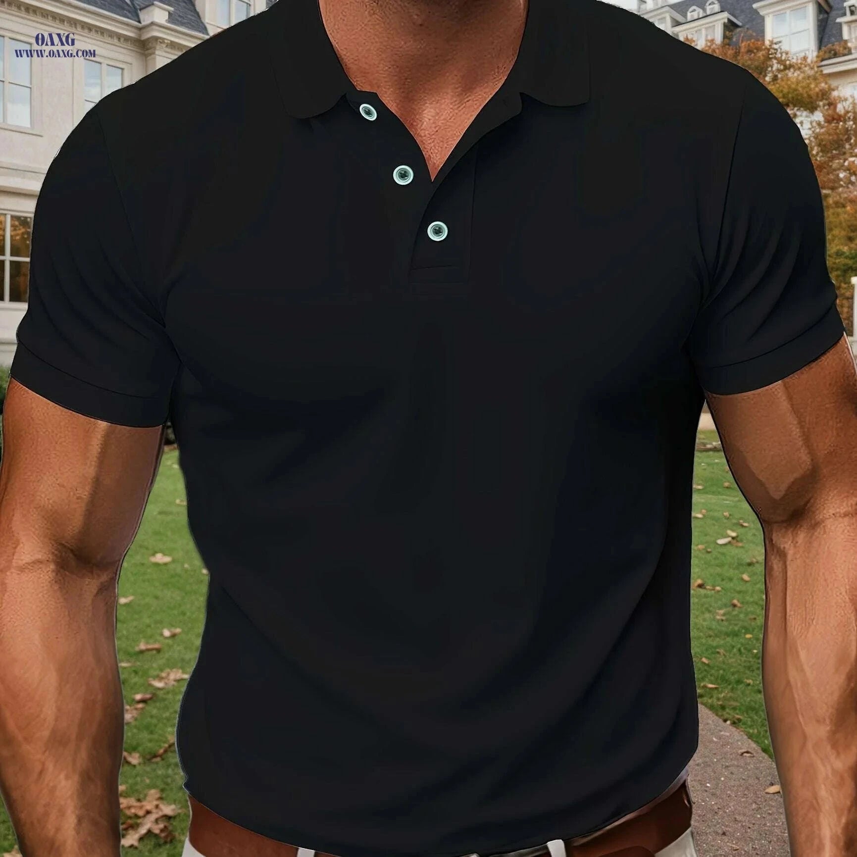 Men's Lightweight Casual Polo Shirt - Breathable Golf Top, Regular Fit   OAXG Pea Green Color / S