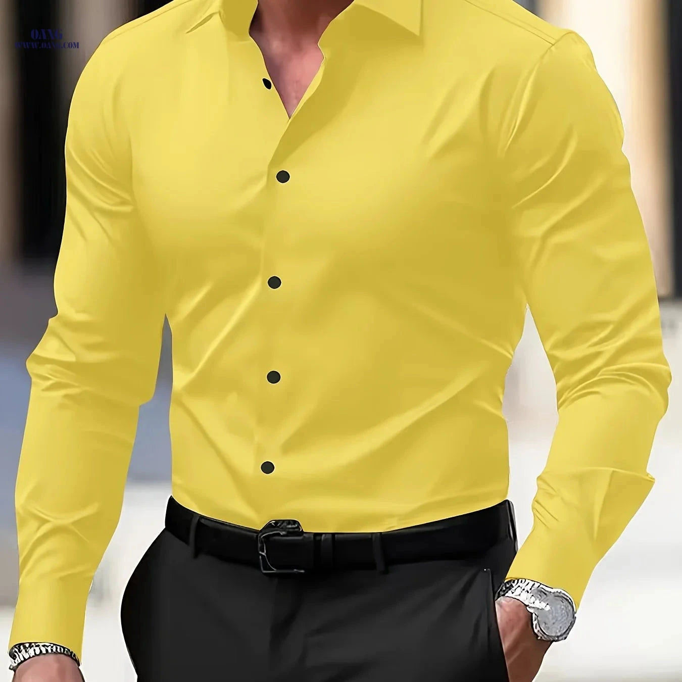 Men's Long Sleeve Business Shirt - Wrinkle-Free Casual Style   OAXG 