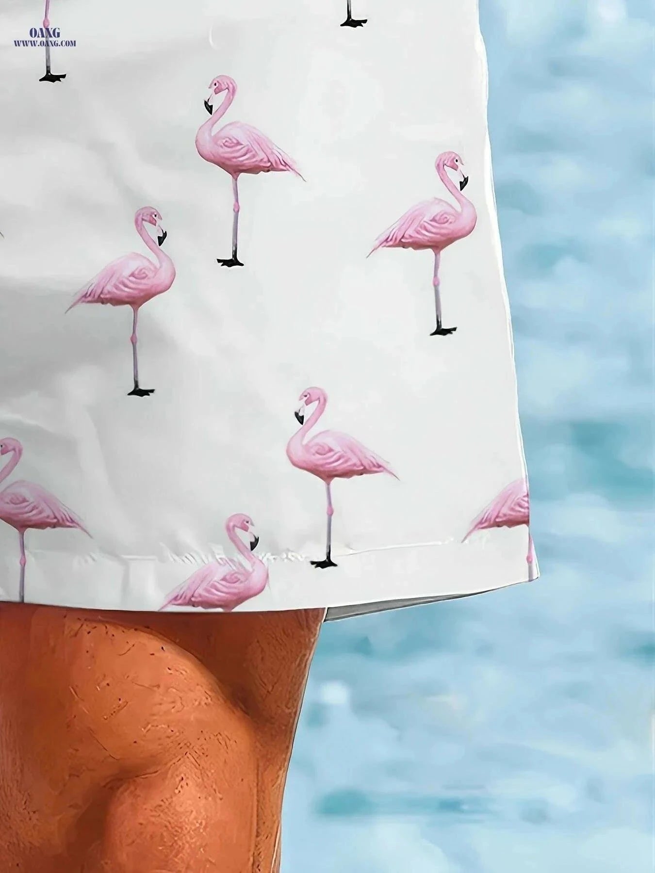 Men's Quick-Dry Swim Trunks - Tropical Flamingo Print Beach Shorts   OAXG Mixed Color / S