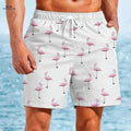 Men's Quick-Dry Swim Trunks - Tropical Flamingo Print Beach Shorts   OAXG Mixed Color / S