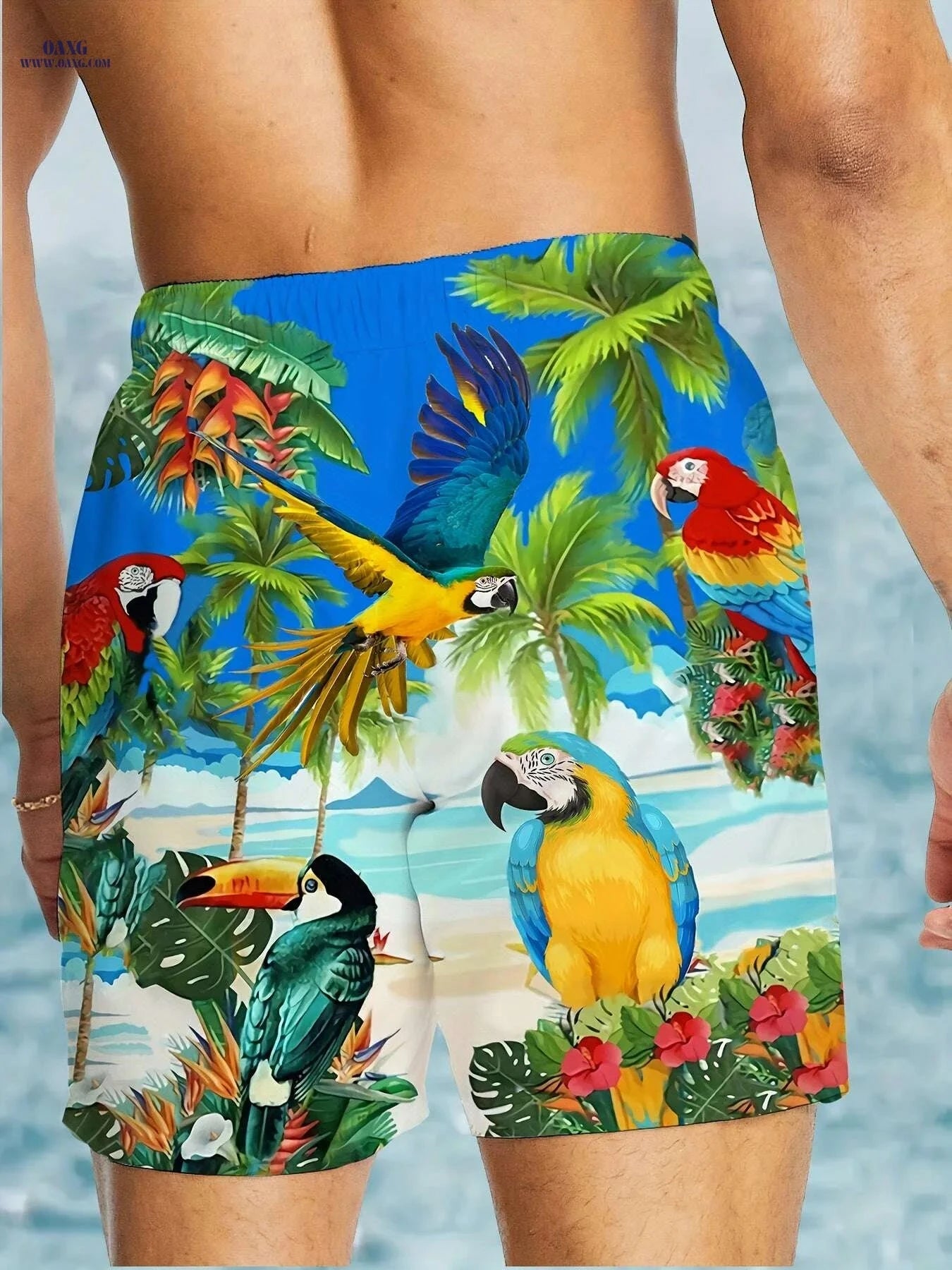 Men's Tropical Parrot Print Drawstring Shorts - Casual Summer Beachwear   OAXG 