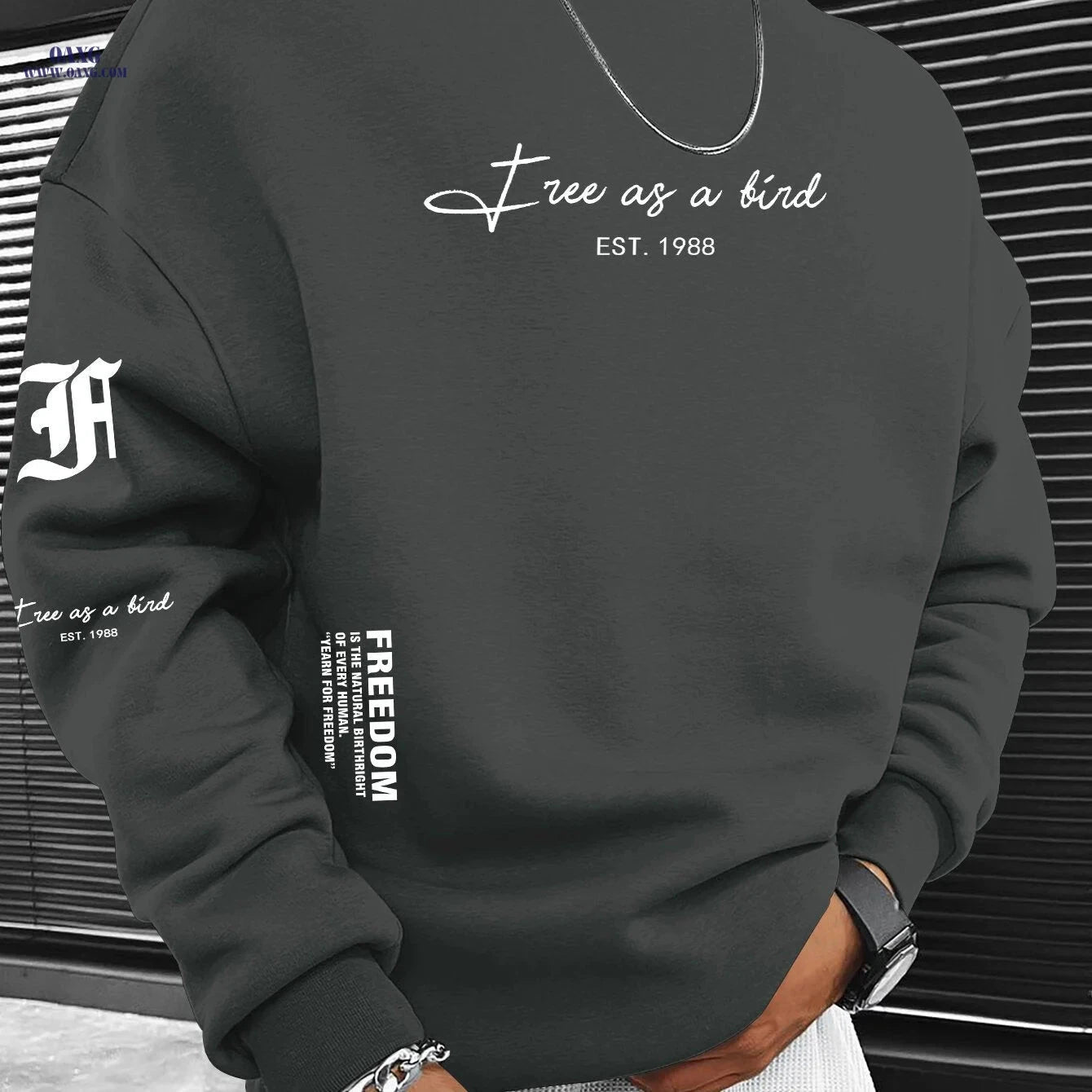 Trendy Men's Crewneck Sweatshirt - Houston "SPACE CITY" Logo Print   OAXG Apricot / FR S